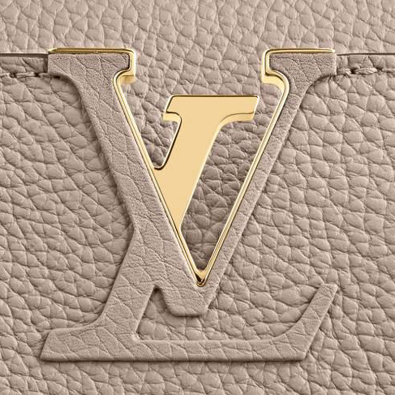 Louis Vuitton CAPUCINES MM  Handbag N92802 Galet Gray